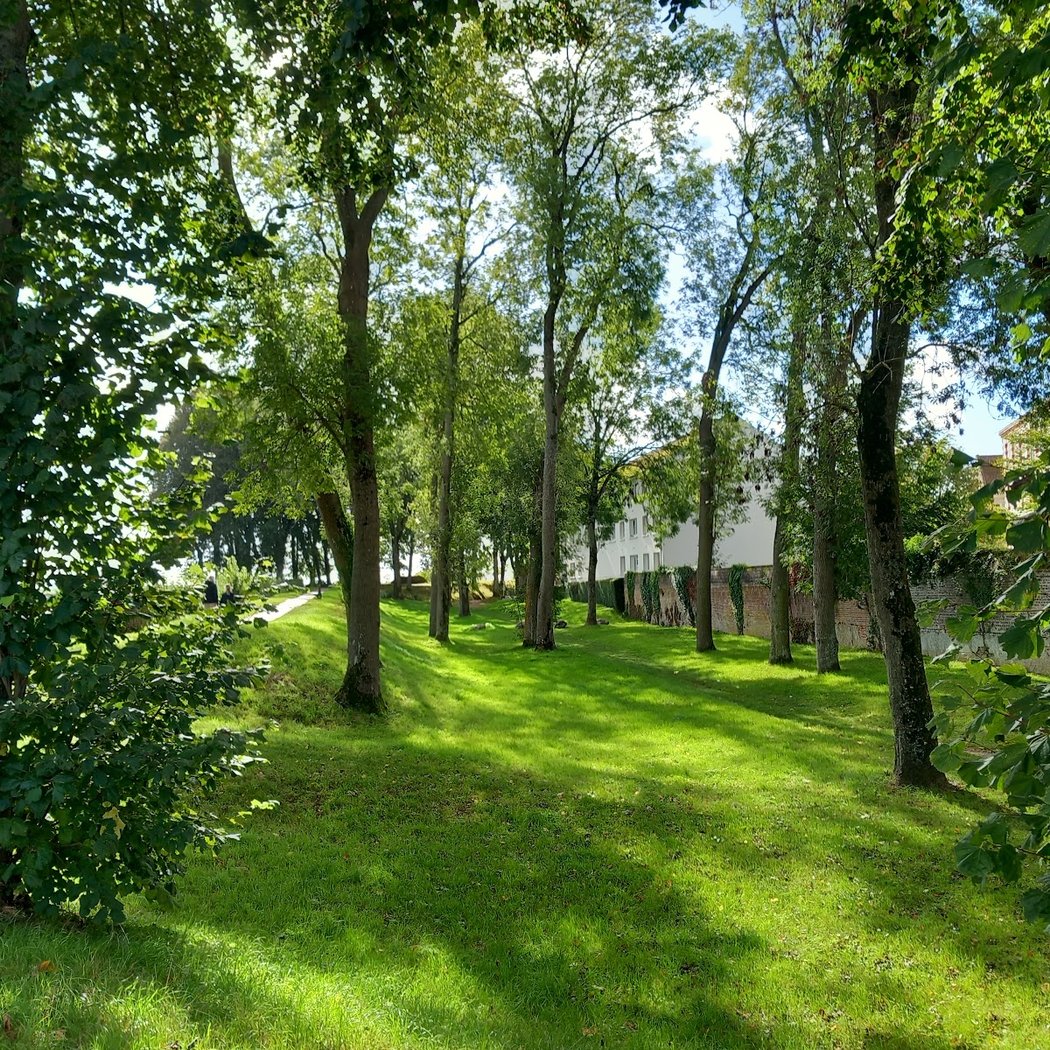 Promenade sur les remparts de Montreuil-sur-Mer 2
